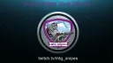Snipers Army banner
