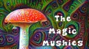 The Magic Mushies banner