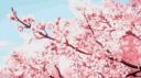 Sympathy ✰ banner