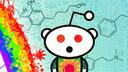 Drugs Hangout Banner