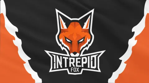 Intrepid Fox banner
