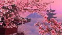 ♡Game Over Weeb♡ Discord server banner