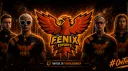 Fenix Gaming banner