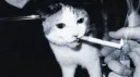 CatCigZone Discord server banner