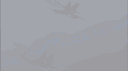 414th Joint Fighter Group banner