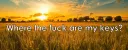 banner