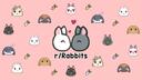Rabbitors Banner
