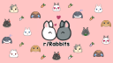 Rabbitors Discord server banner