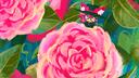 Camellia Official Server Banner
