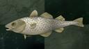 Stockfish Banner