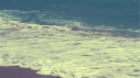 W.A.V.E.S. Banner