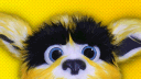 Nintendo Yeah banner