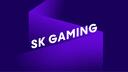 SK Gaming Banner