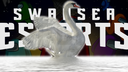 Swansea Esports Banner