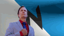 TEAM NORTH [N] banner