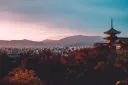 𝙉𝙚𝙢𝙤𝙤𝙜𝙜 - 𝘿𝙞𝙨𝙘𝙤𝙧𝙙 𝙊𝙛𝙛𝙞𝙘𝙞𝙚𝙡 banner