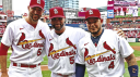 St. Louis Cardinals server banner