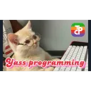 The Programming Club banner