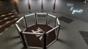 Virtual Fighting Championship (VR) banner