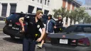 Unofficial LSPDFR Support Server (ULSS) banner