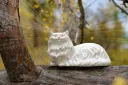 Czech_Meowt Wellness banner