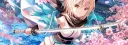 banner