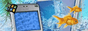 banner