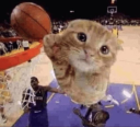 r/nba Discord server banner