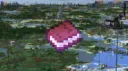 2b2t Signed books & collectibles network. Discord server banner