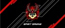 Noctiq Esports banner