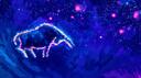 Taurus Family Banner