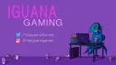 Iguana Gaming banner