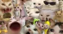 Memes in the Basement banner