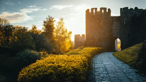 The Bastion banner
