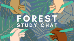 forest study chat server banner