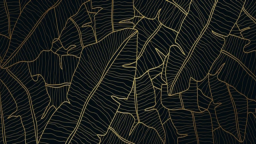 Monky Gaming Community server banner