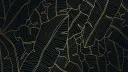 Monky Gaming Community Discord server banner