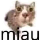 SillyCommunity Discord server banner