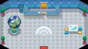 Pokémon Gen 4 & 5 Custom Servers Banner
