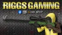 Riggs Gaming banner