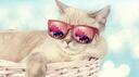Cool Cats  Banner
