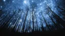 Warrior Cats - The Shattered Stars banner