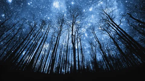 Warrior Cats - The Shattered Stars banner