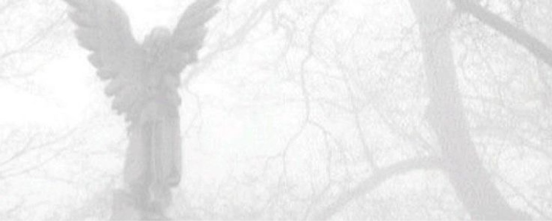 gennaro Banner