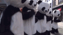 🖤🐼Panda Squad S.A🐼🖤 banner