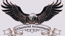 Chartered Accountants Discord server banner