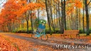MemeStash banner