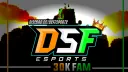 DSF | ESPORTS banner