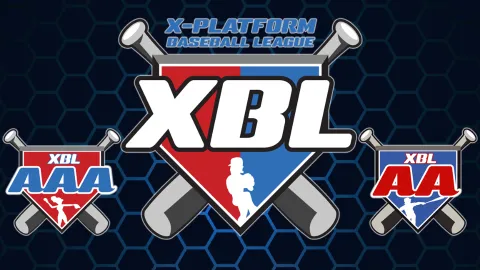 X-Platform Baseball League banner