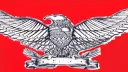The Concilium (XICX) banner